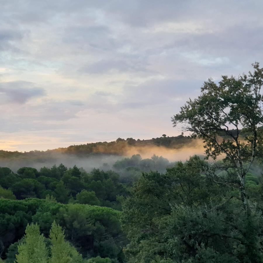 Charmant Studio Proche Lac Et Foret Carcassonne Esterno foto